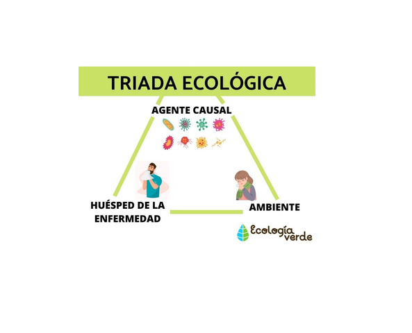 TRIADA ECOLÓGICA O MODELO CAUSAL ECOLÓGICO