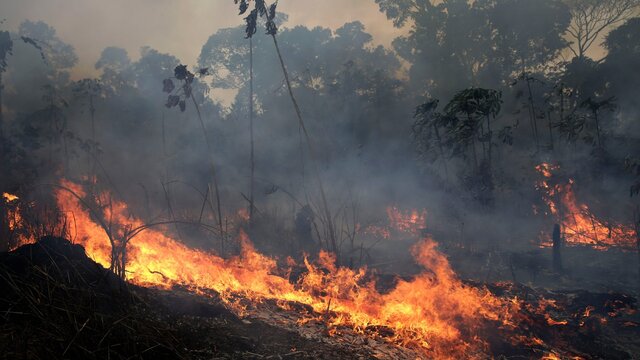 Incendios de la selva amazónica