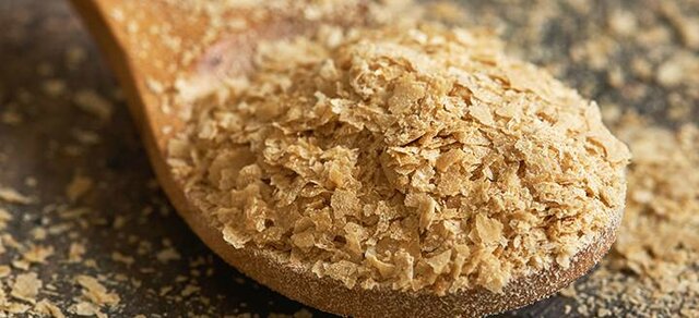 1996. Fabrican por primera vez un genoma complejo de diseño