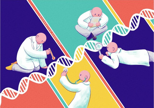 Herencia en el Ser Humano