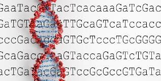 Proyecto genóma humano