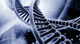 Timeline: Ingenieria Genetica