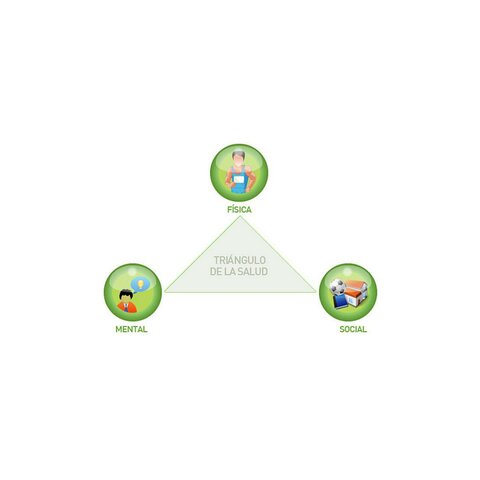 Organización Mundial de la Salud (OMS)