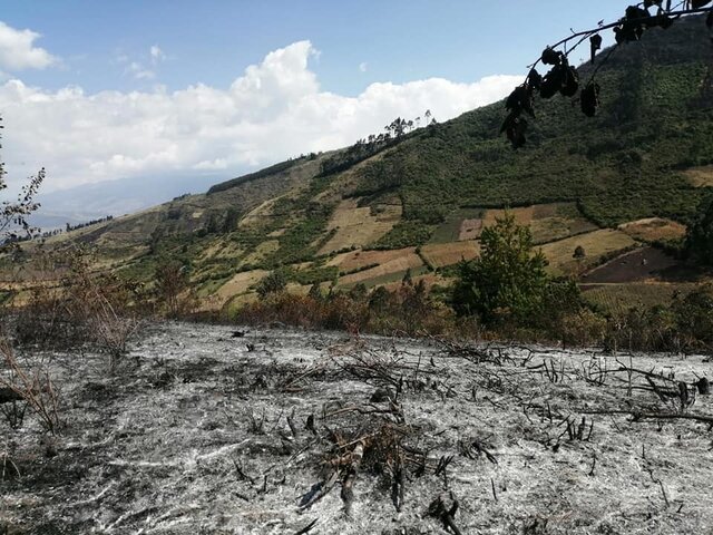 Parroquia Sagrario, La Compañía