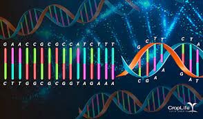 Genomas de precisión