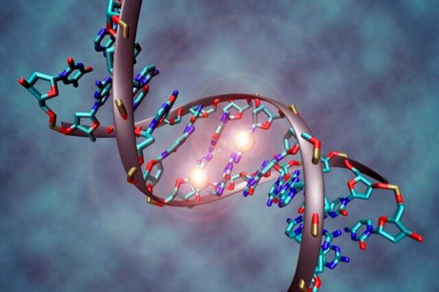 2005. Secuenciación