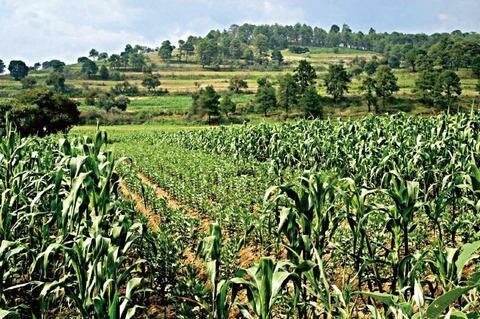 Ley de Desarrollo Rural Sustentable