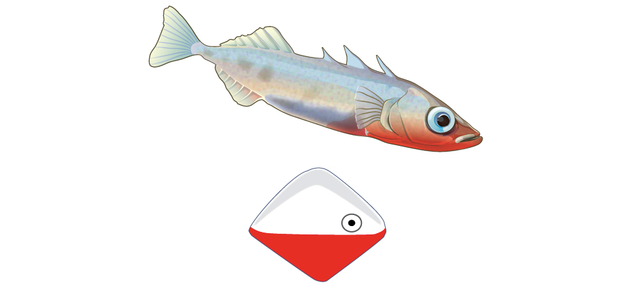 Introducción a la psicología comparada