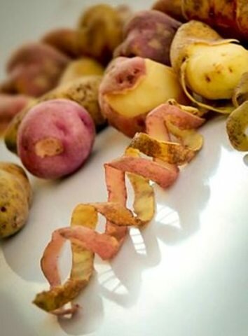 2011. Se logra la secuenciación del genoma de la papa