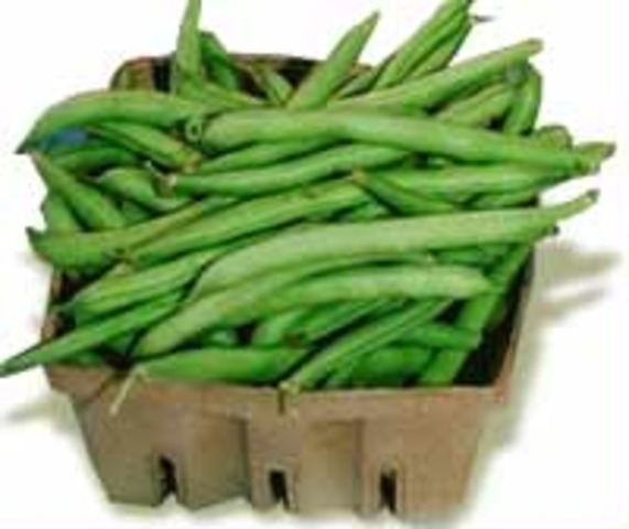 Snap Beans