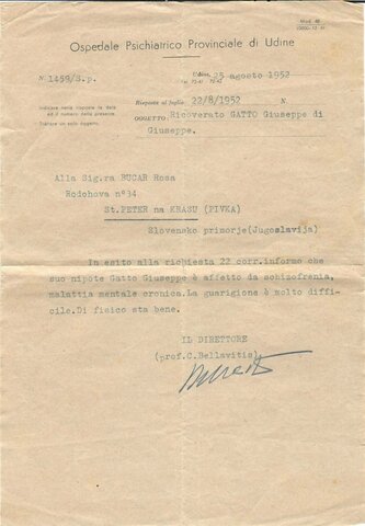 Internato nell'Ospedale psichiatrico di Udine