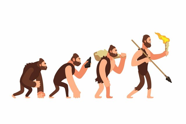 LOS HOMÍNIDOS Y EL CEREBRO
