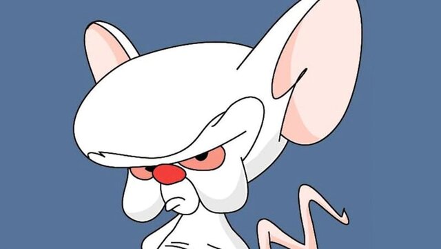 ¿QUÉ HACE NUESTRO CEREBRO ESPECIAL?