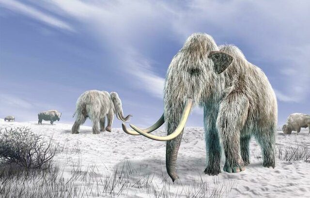 Glaciación Cuaternaria 3M