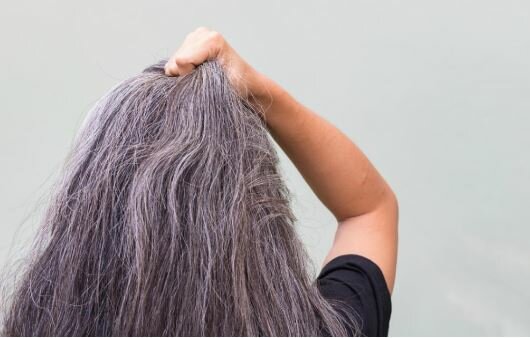 La Explicación A Las Canas