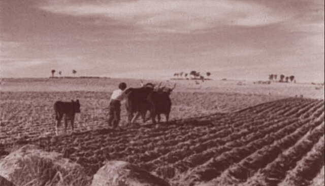 Ley de contrato de cultivo de Cataluña