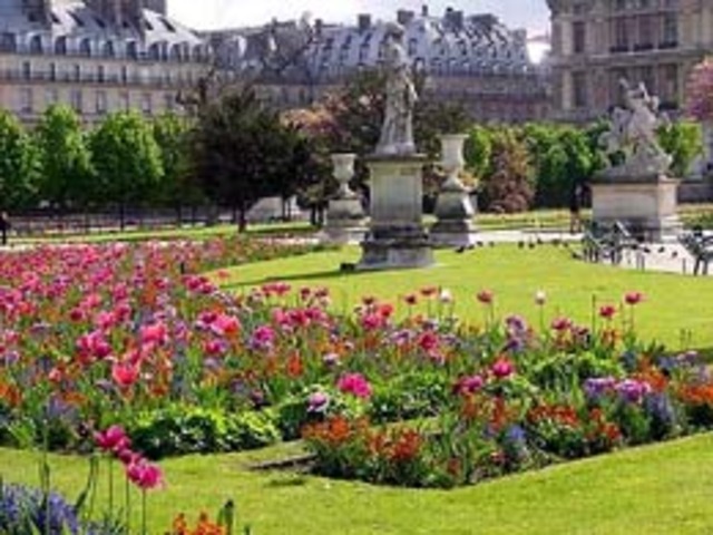 Jacobin Storm Tuileries Palace