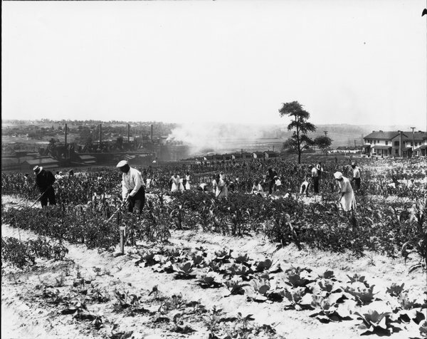 Great Depression Tragedy on Farmers