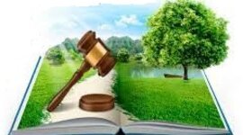 Timeline: Legislación Ambiental en México