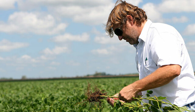 2021.  en la campaña agrícola 2020/2021 se cumplen 25 años de adopción de cultivos transgénicos en Argentina.