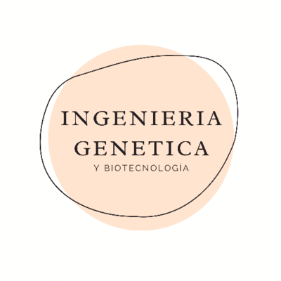 Timeline: ingenieria