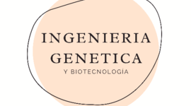 Timeline: ingenieria