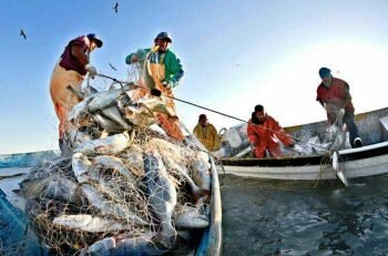 Decreto de la Ley General de Pesca y Acuacultura Sustentables