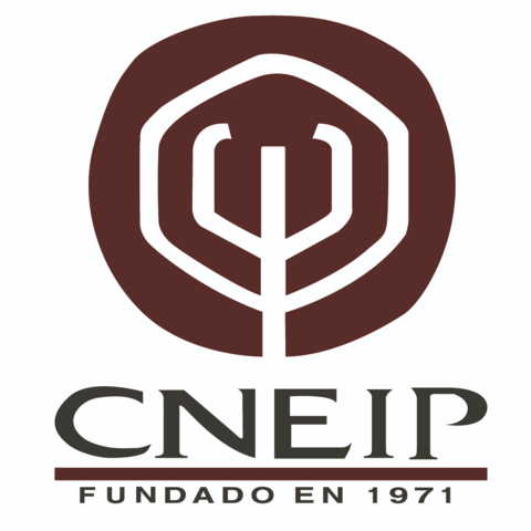 Se crea el Consejo Nacional para la Enseñanza e Investigación en Psicología (CNEIP)