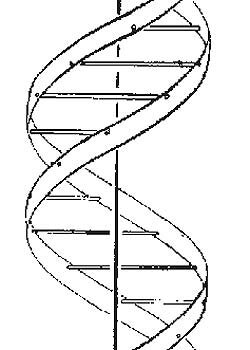 Descubrimiento de la estructura del ADN.