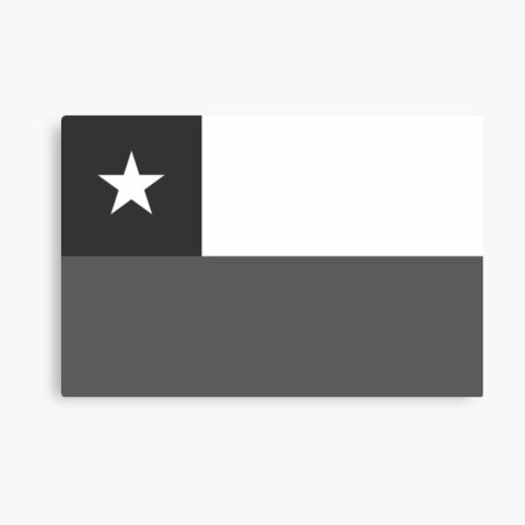 La ONU y el Gobierno de Chile.