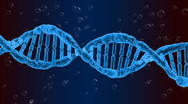 Timeline: Historia de los descubrimientos en torno al ADN, Ruiz Sofia