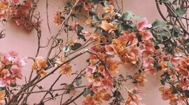 Timeline: Bible Timeline