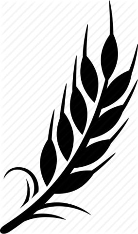 Adoption des Corn Laws