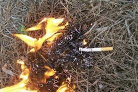 Ya había indicios del culpable