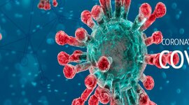 Timeline: COVID-19 EN MEXICO