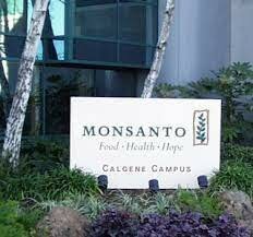 Se aprueban los alimentos transgénicos producidos por Calgene. Es la primera vez que se autorizan alimentos transgénicos en Estados Unidos.