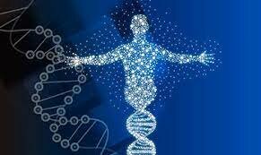 Cincuenta años después del descubrimiento de la estructura del ADN, se completa la secuencia del genoma humano.