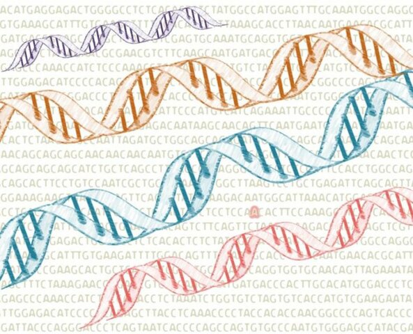 Mutaciones geneticas