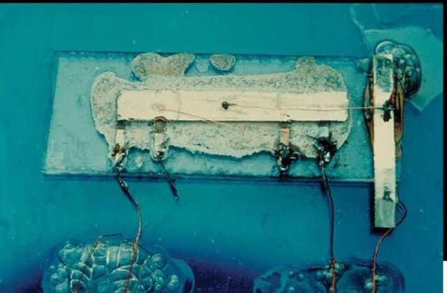 desarrollo de circuitos