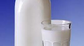 Timeline: איך נוצר החלב שאנו שותים