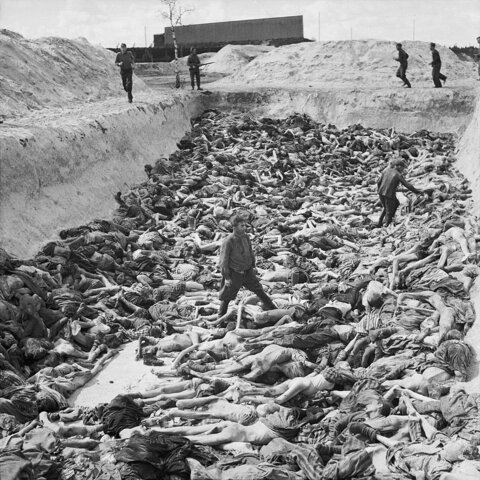 SUICIDIO DE HITLER Y FIN DEL HOLOCAUSTO