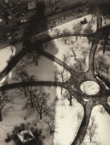 El pulpo, Madison Square Park