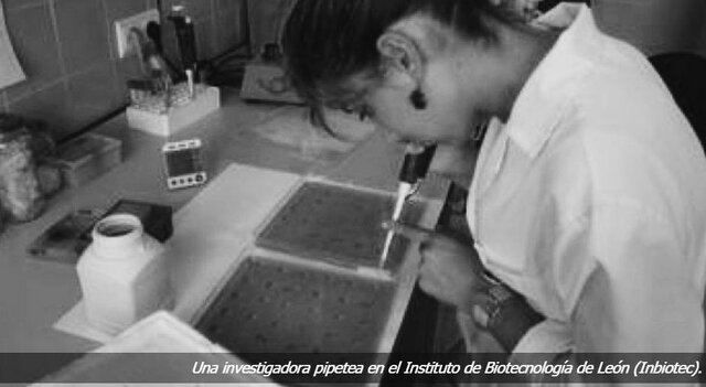 Federación Española de Biotecnólogos.