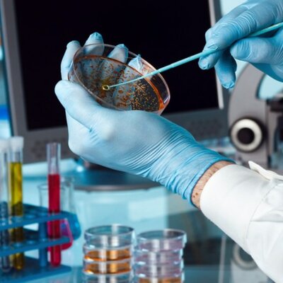 Timeline: Biotecnologia