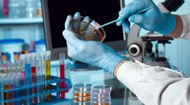 Timeline: Biotecnologia