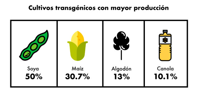 Tejidos Vegetales