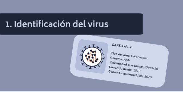 Identificacion Coronavirus
