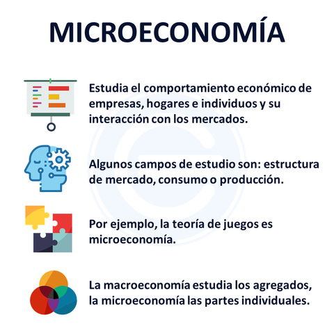MICROECONOMÍA