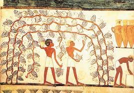 TEOKRAZIA (Antzinaroa)