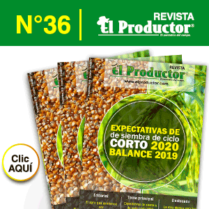 TEORÍA DEL PRODUCTOR